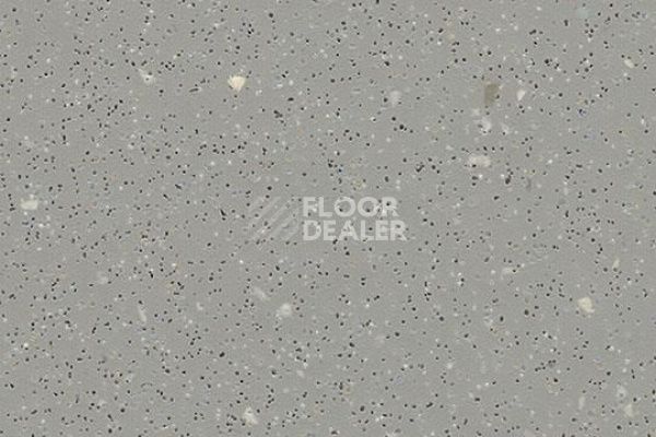 Линолеум FORBO SafeStep R11 174752 slate grey фото 1 | FLOORDEALER